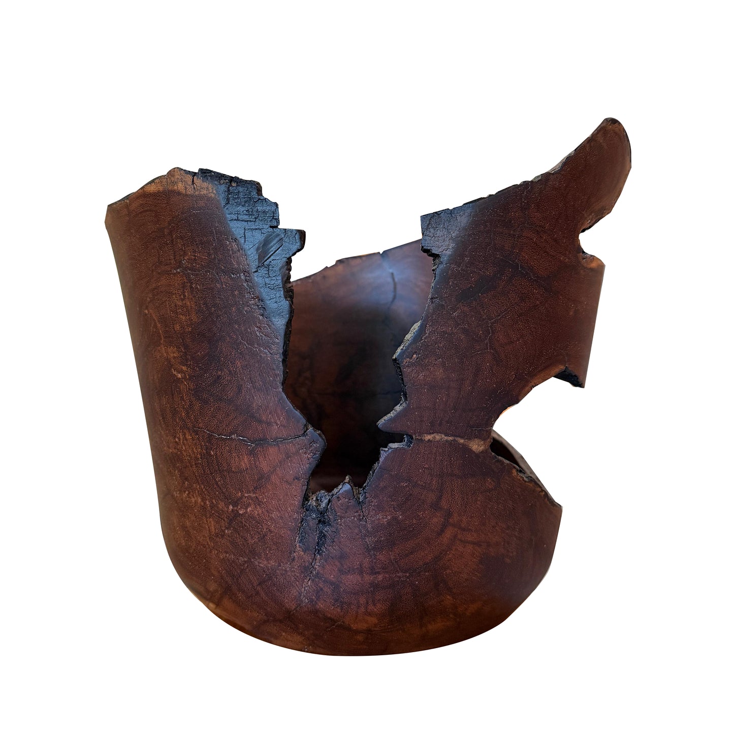 Jarrón de Guanacaste