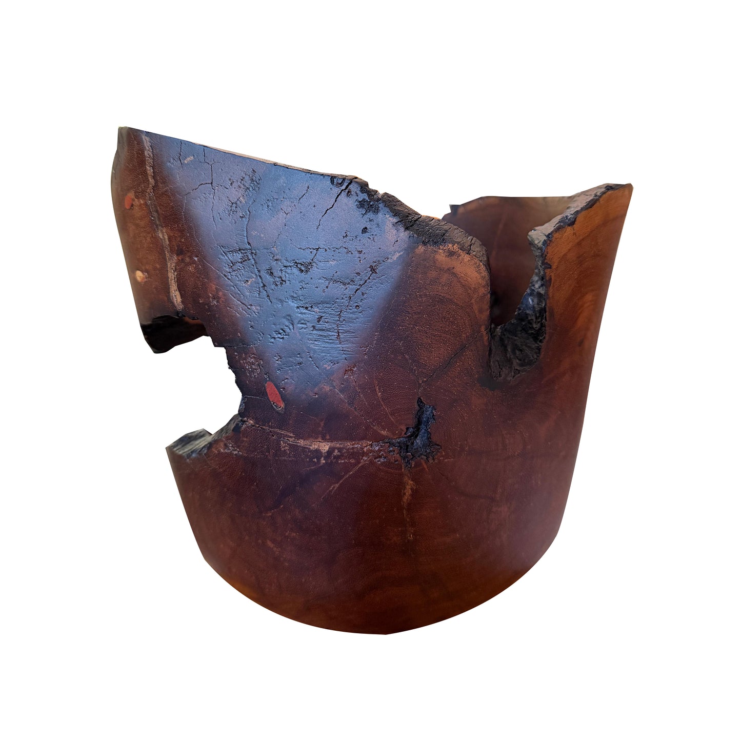 Jarrón de Guanacaste